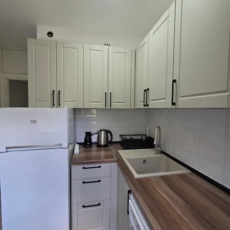 Urban Taftalidze Apartment