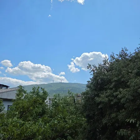 Urban Taftalidze Apartment